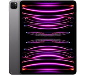 iPad Pro 12.9 (2022) 6.a generación 256 GB - WiFi - Gris Espacial