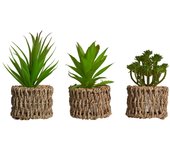 PLANTA SURT 3