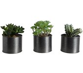 PLANTA SURT 3