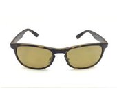 GAFAS DE SOL CABALLERO/UNISEX RAYBAN RB4263