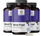 HealthyWorld® 3x Mind Fuel - memoria y concentración, en total 360 cápsulas