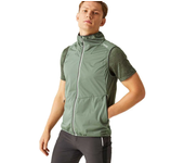 Ropa hombre Chalecos Regatta Chaleco Lankin Vi Verde