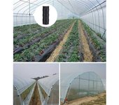 20Pcs 19/20/25mm Clip Plant Greenhouse Film Clips Fixed Pipe Frame Tube Clamp Plant Stakes Pipe Clamps Sunshade Net Garden Tools