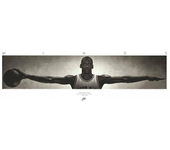 POSTER NIKE AIR JORDAN WINGS - MEDIANO