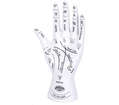 "✨Mano Lectora de Palmas para Anillos  STIGORVI. Elegante Soporte Joyero Místico en Dolomita | Organiza Tus Joyas y Decora con Magia | Detalles de Quiromancia | Ideal para Tarot, Astrología y Amantes de lo Esotérico | Regalo Perfecto para Brujas Modernas