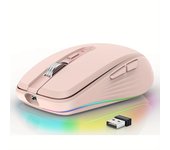 Ratón inalámbrico recargable de modo Dual, mouse ergonómico para PC, portátil y escritorio, luz RGB USB-C, batería recargable de 700mAh