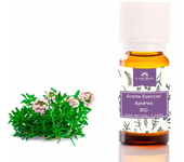 Camassia Aceite esencial ajedrea BIO | Aceites esenciales | Satureja montana - 100% natural y puro - de agricultura ecológica