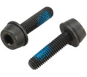 Campagnolo Tornillos Para Montaje Trasero 19 Mm