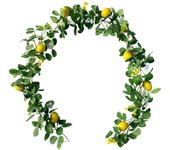 Artificial Lemon Garland Hanging Lemon Rattan Fake Lemon Garland With Eucalyptus Leaves Front Door Vine Kitchen Outdoor Decor
