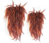 Simulation Fern Grass Green Plant Artificial Fern Persian Leaves Flower Artificial Artificial Vine Hanging Ivy Decoration New