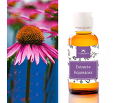 Camassia Extracto de Equinacea | Extractos de plantas | Oleato en aceite de oliva virgen