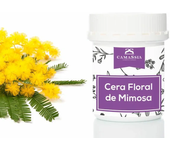 Camassia Cera floral de mimosa | Mantecas y ceras para cosmética | Cera floral de mimosa