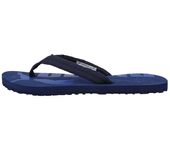 Puma Chanclas Epic Flip V2 Azul