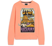 Superdry Sudadera Neon Travel Loose Naranja