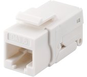 Goobay KeyStone Cat6 UTP Toolless Blanco - Divisor de red (Blanco)