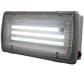 Panalight Luz de emergencia (6 W, 6.000 K, 570 lm, Plateado)