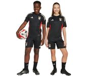 Adidas - Pantalón corto SLB Benfica Training 2025-2026 Niño, Unisex, Black, 128 cm