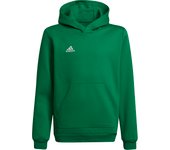 Sudadera con capucha para niños adidas Entrada 22