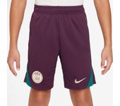 Pantalón corto infantil PSG Strike 224/25