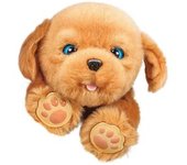 Little Live Pets - Sleepy Puppy