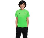 Hummel - Camiseta Real Betis Training 2024-2025 Niño, Unisex, Green Gecko, 140 cm