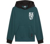 Sudadera con Capucha Niño Puma Basketball Blueprint - Marca: Puma - EAN: 4067981262441 - Talla: 9-10 Años