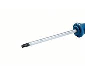 Bosch Professional - Destornillador Torx (punta T40 x 125 mm, acero S2)