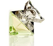 Elizabeth Arden Britney Spears Fantasy Eau de Parfum 100 ml