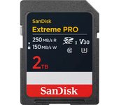 SDSDXXD-2T00-GN4IN, Tarjeta de memoria