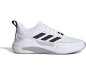 Zapatos adidas Trainer V