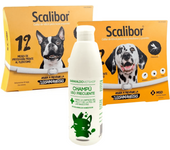 Pack Scalibor 48 cm + Scalibor 65 cm + Champú Uso Frecuente 300 ml