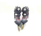 PATINES TOPIC NOISY EVOLUTION 05