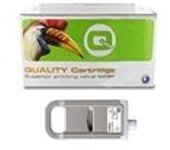Q-Nomic PFI-1700PGY cartucho de tinta gris foto