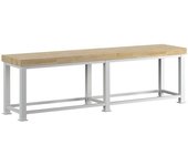 RAU Banco de trabajo para cargas pesadas, grosor del tablero 100 mm, A x P 3000 x 700 mm