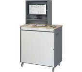 RAU Puesto de trabajo para ordenador, H x A x P 1810 x 1030 x 660 mm, con carcasa para el monitor, rodante, antracita metálico / azul genciana