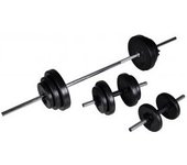 vidaXL Set De Pesas + 2 Mancuernas 30.5 Kg
