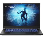 Erazer Defender P40 Intel® Core™ i7 i7-13700HX Portátil 43,9 cm (17.3") Quad HD 16 GB DDR5-SDRAM 1 TB SSD NVIDIA GeForce RTX 4060 Wi-Fi 6E (802.11ax) Español Negro