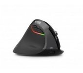 RATON ERGONOMICO WIRELESS WRLS