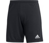 Adidas - Pantalón corto Entrada 22, Unisex, Black, S