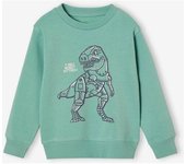 VERTBAUDET Sudadera Basics con estampado gráfico para niño   verde agua