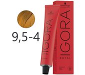 Schwarzkopf - Tinte Permanente Igora Royal 9,5-4 Beige Pastel 60 ml 5054 5054 4045787200461 Royal SCHWARZKOPF