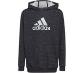Sudadera con capucha adidas future badge infantil bk