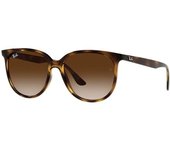 Rayban Gafas De Sol Ray-Ban Rb 4378 710 13 Havana