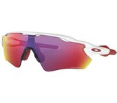 Oakley Gafas De Sol Radar Ev Path Prizm Road unisex Polished White Prizm Road/CAT2