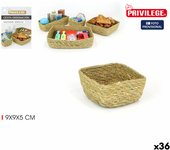 Privilege Organizador 9 x 9 x 5 cm - Marca EAN: 4899888716761