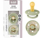 Bibs - Pack 2 chupetes Colour 6-12 meses - Jasmine sage