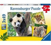 Ravensburger - Panda - Puzzle de animales: panda, tigre y león, colección 3 x 49 piezas ㅤ