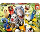 Educa Borras - Puzzle de pajarito: 500 piezas, 48x34 cm con Cola Fix para montaje ㅤ
