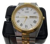 RELOJ PULSERA CABALLERO CITIZEN GN-4W-S
