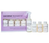 Hair Repair Treatment Kit